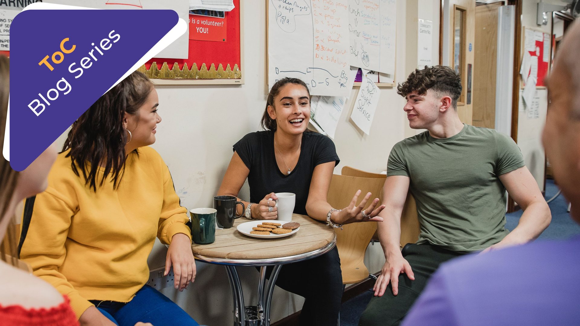 Why Do We Need a Theory of Change for SRHR?